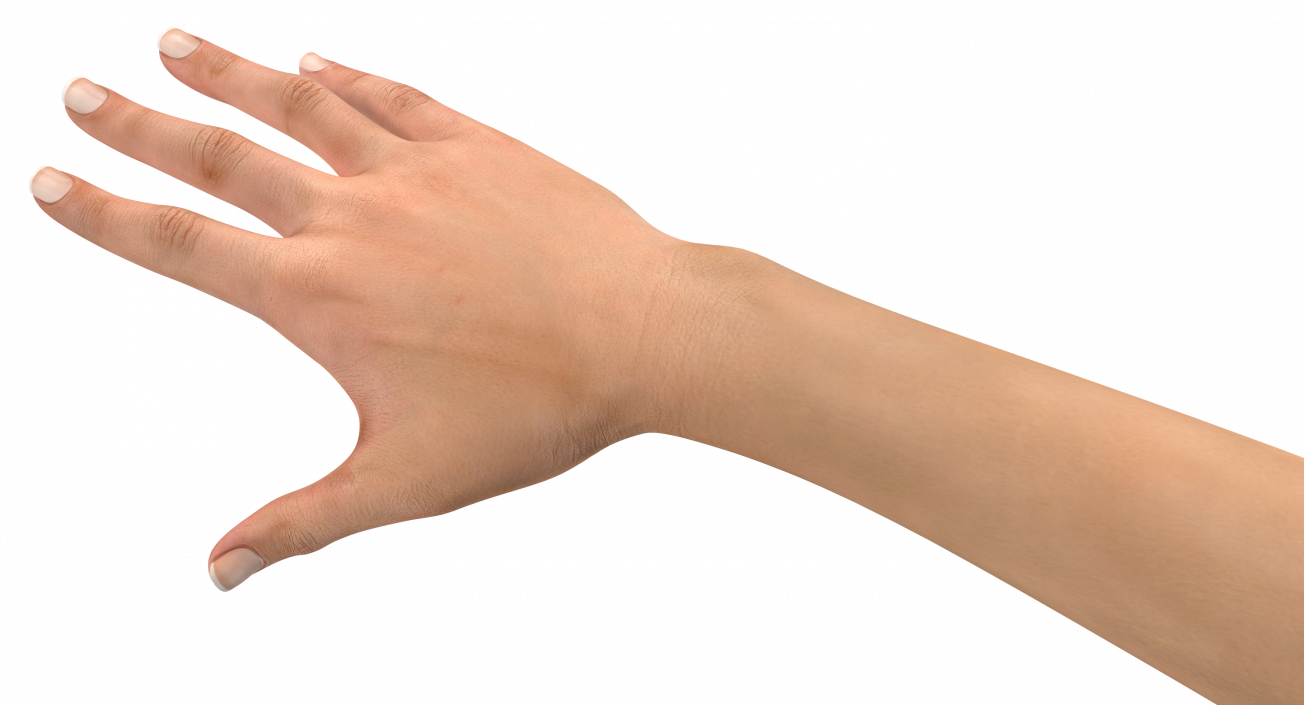 3D model Female Hand with Short Nails Rigged