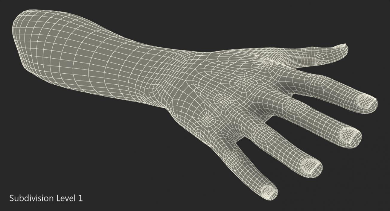 3D model Female Hand with Short Nails Rigged