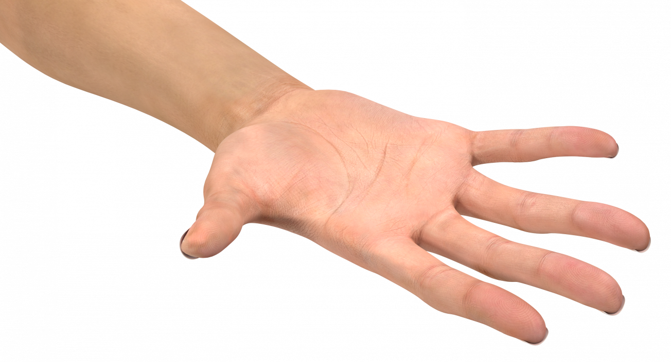 3D model Female Hand with Short Nails Rigged