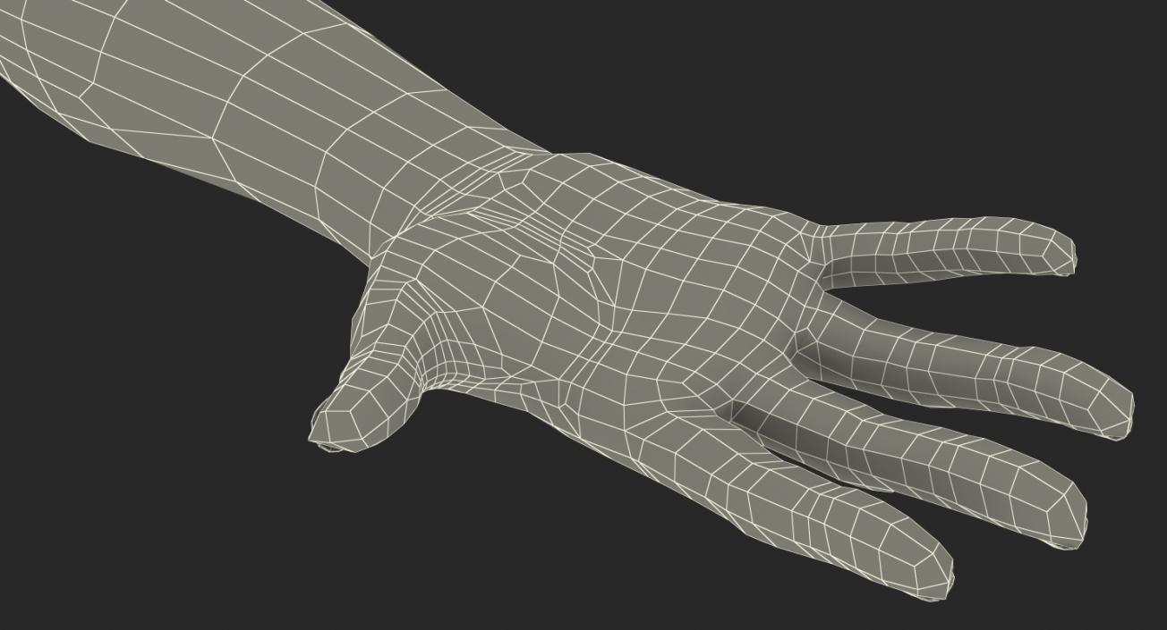 3D model Female Hand with Short Nails Rigged