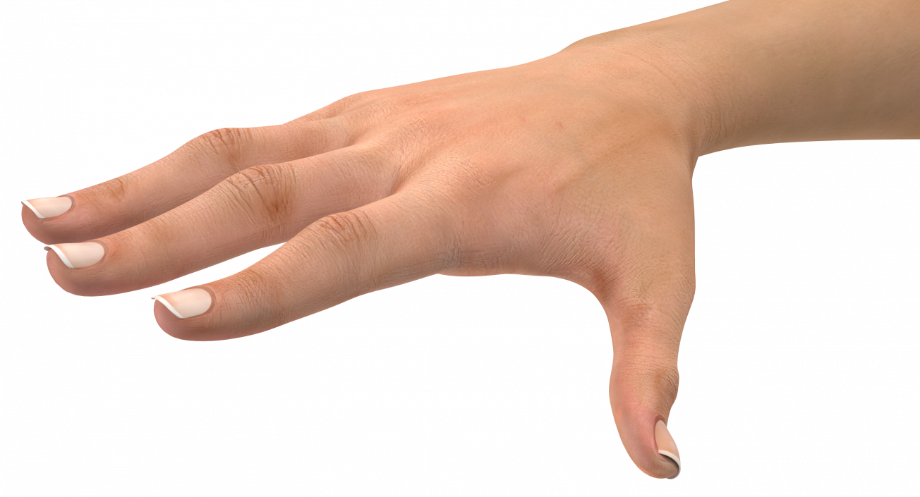 3D model Female Hand with Short Nails Rigged