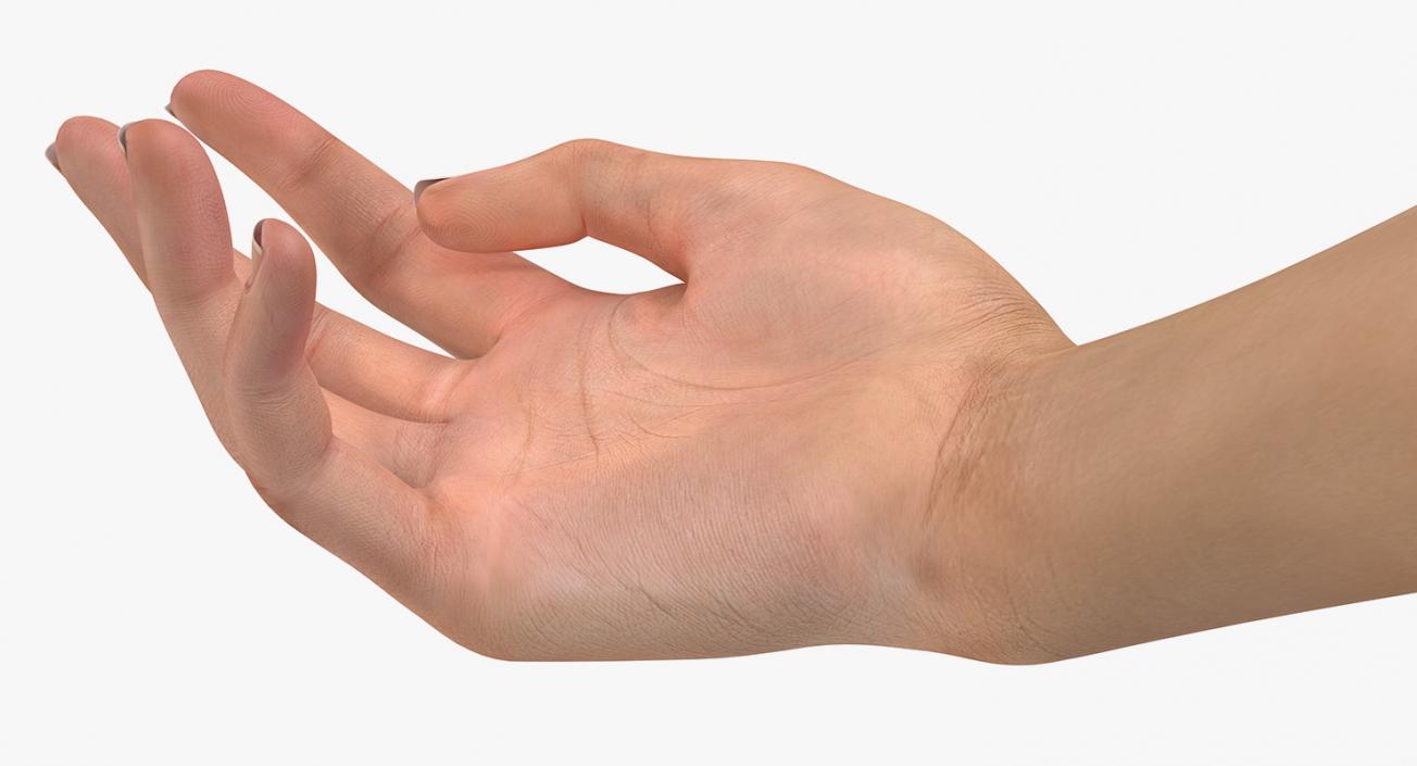 3D model Female Hand with Short Nails Rigged