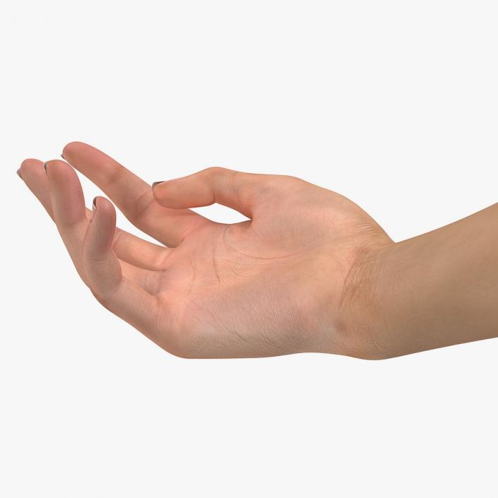 3D model Female Hand with Short Nails Rigged