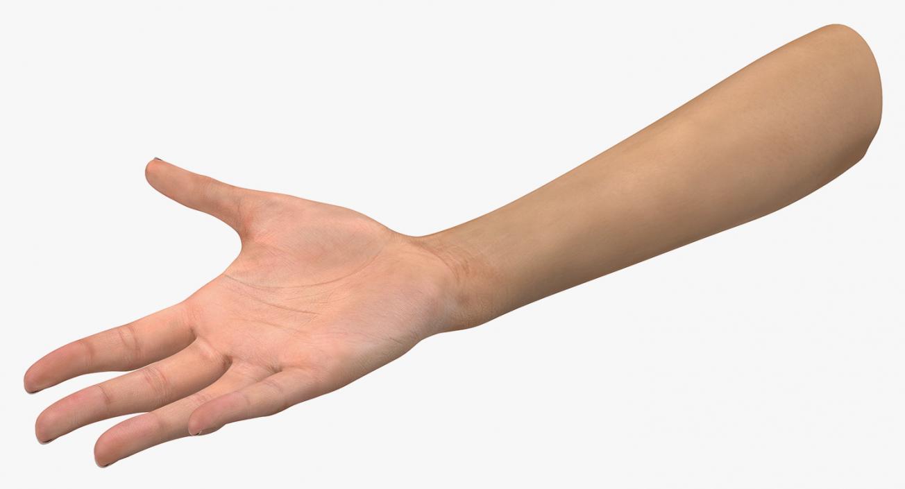 3D model Female Hand with Short Nails Rigged