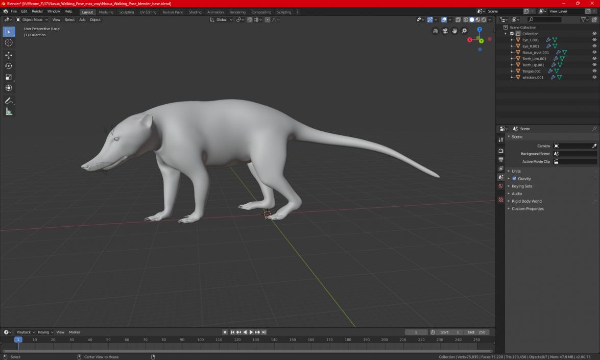 3D Nasua Walking Pose model