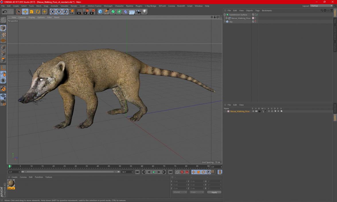 3D Nasua Walking Pose model