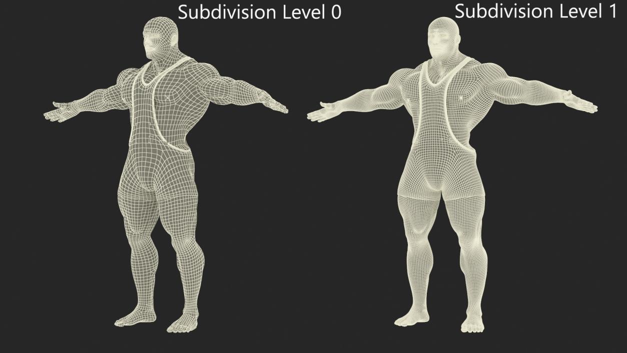 Bodybuilder in Blue Leotard Rigged 3D model