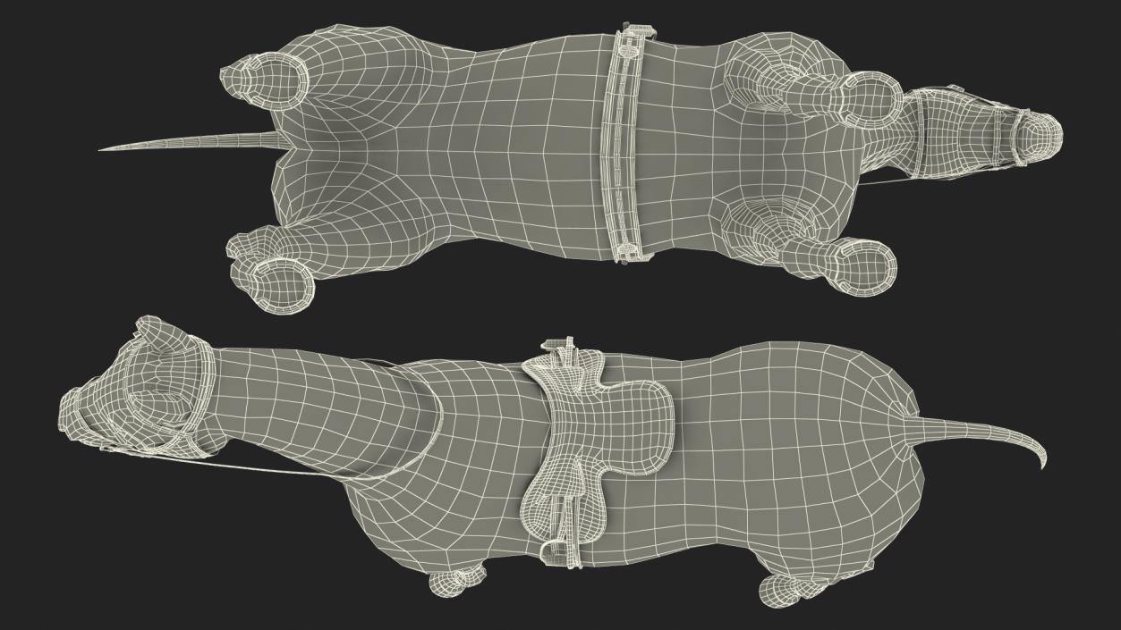 3D Bay Racehorse model