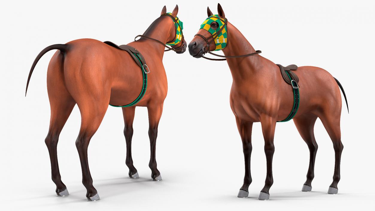 3D Bay Racehorse model