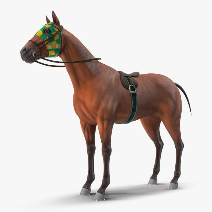 3D Bay Racehorse model