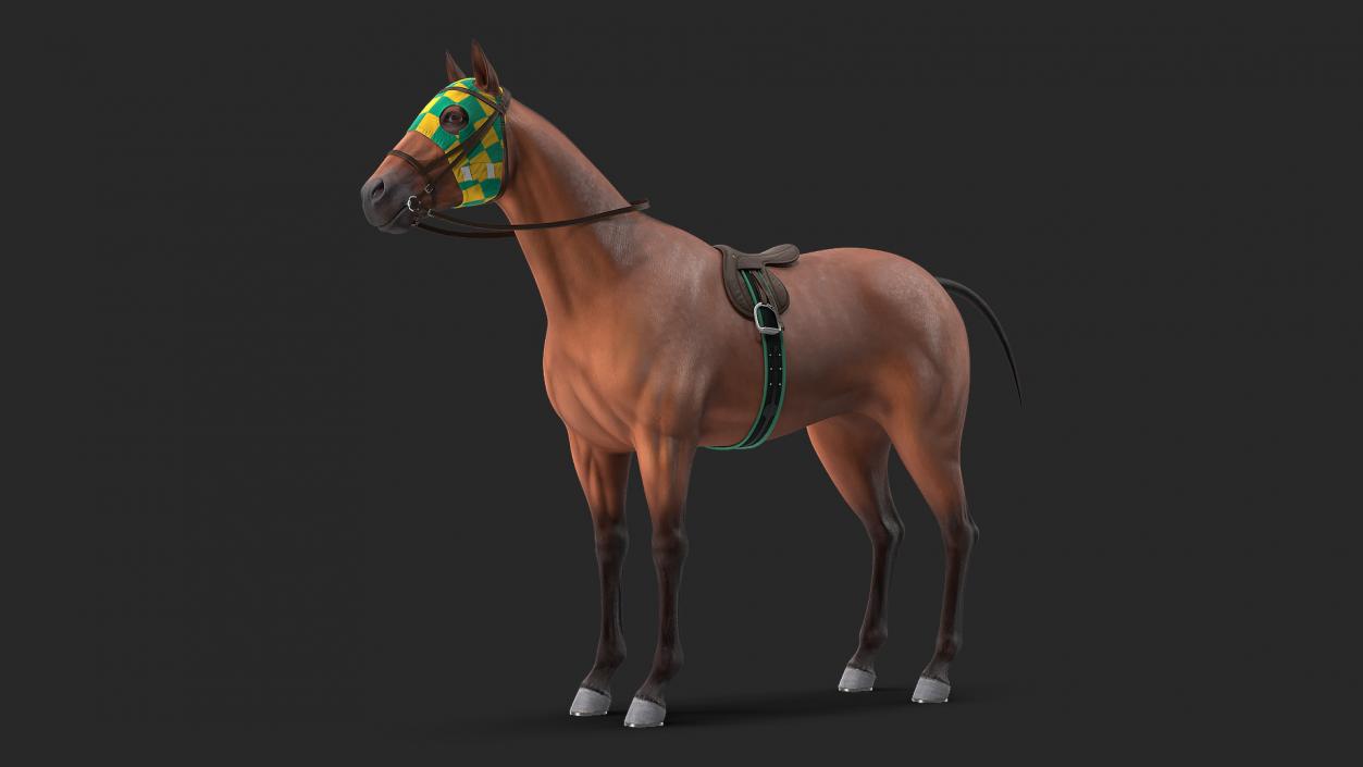 3D Bay Racehorse model