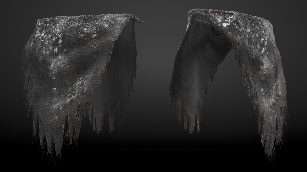 Rag Loincloth Fur 3D