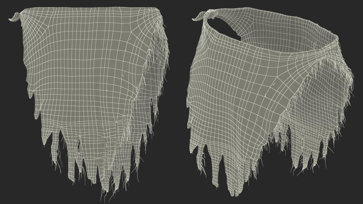 Rag Loincloth Fur 3D