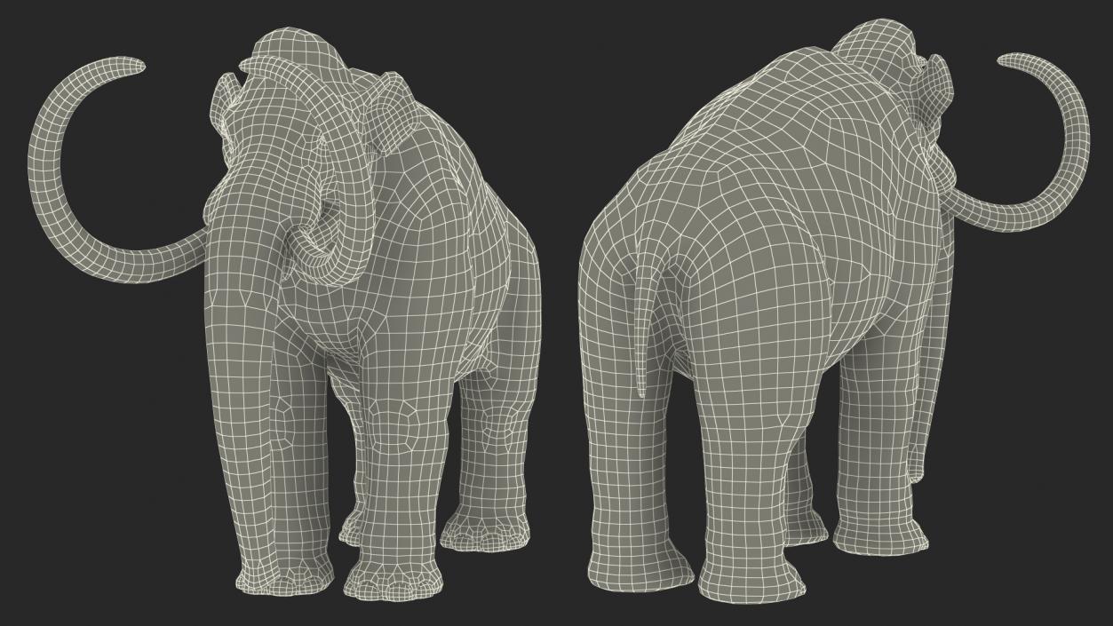 Mammoth Adult Fur 3D