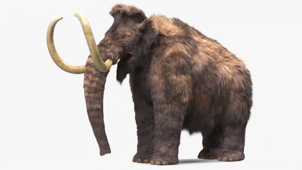 Mammoth Adult Fur 3D