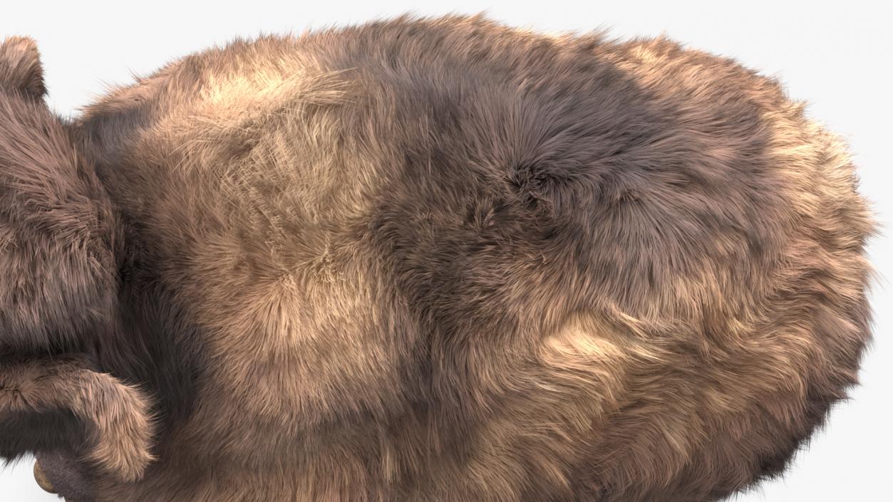 Mammoth Adult Fur 3D