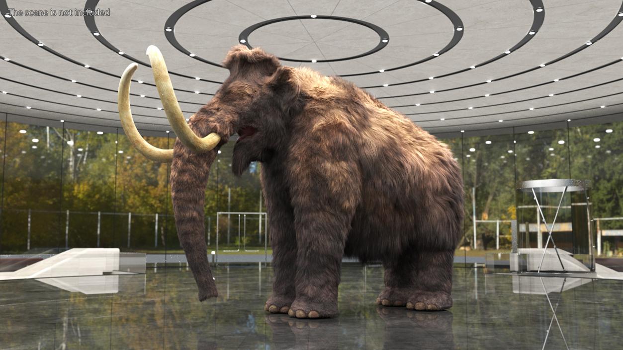 Mammoth Adult Fur 3D