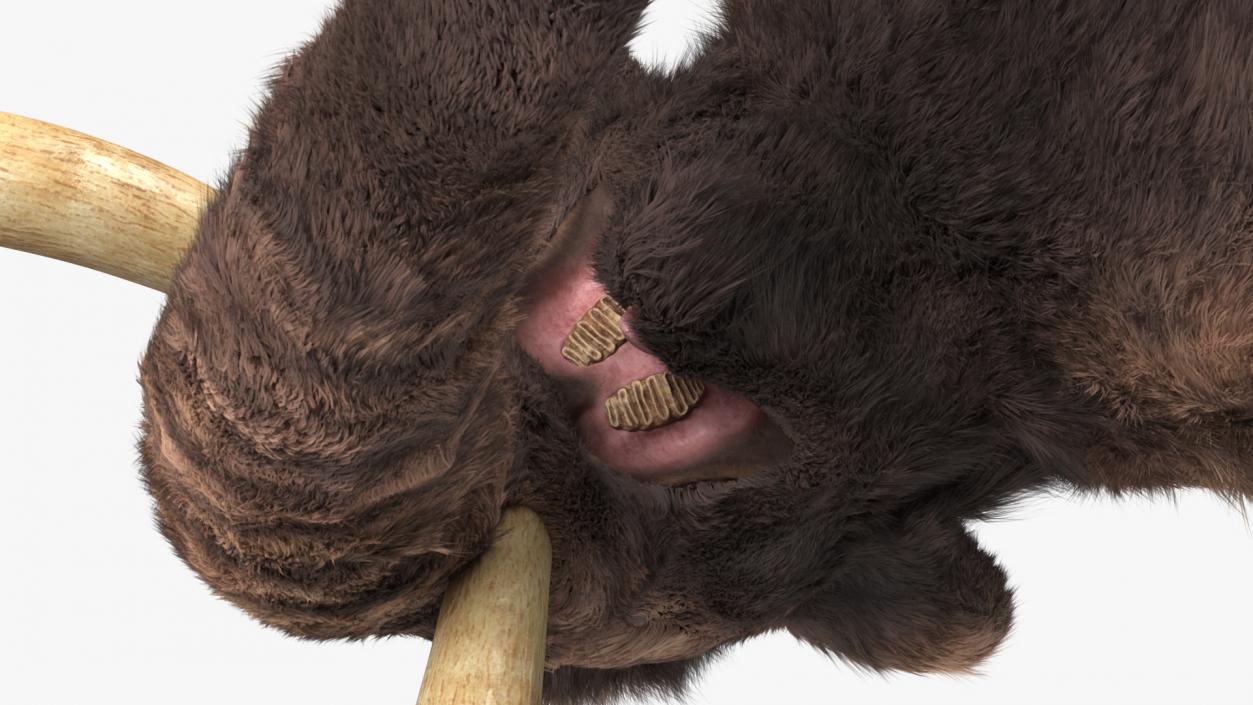 Mammoth Adult Fur 3D