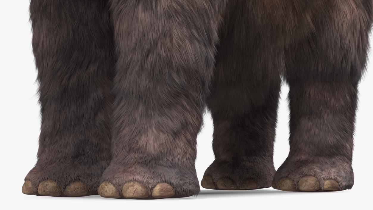 Mammoth Adult Fur 3D