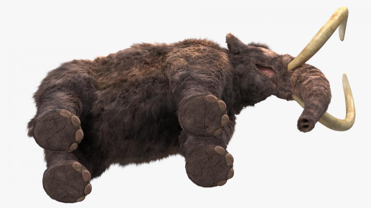 Mammoth Adult Fur 3D