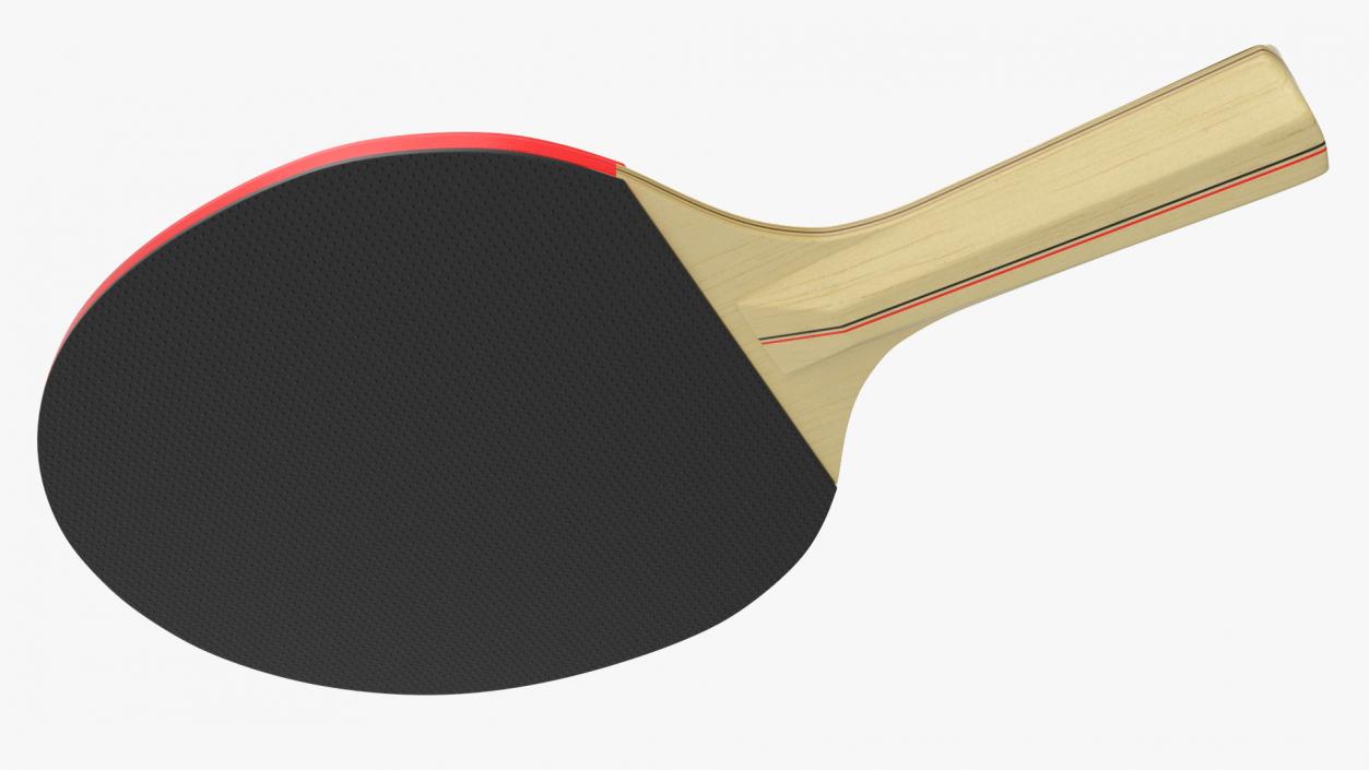 3D model Ping Pong Paddle and Ball