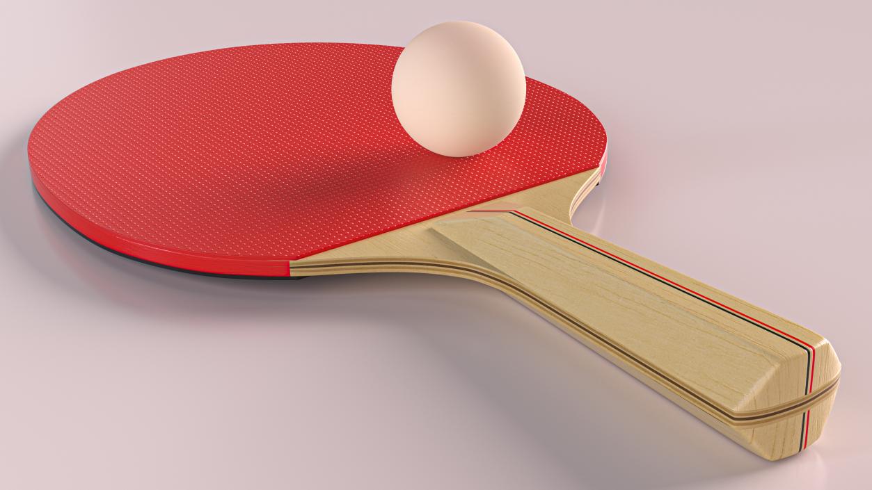 3D model Ping Pong Paddle and Ball