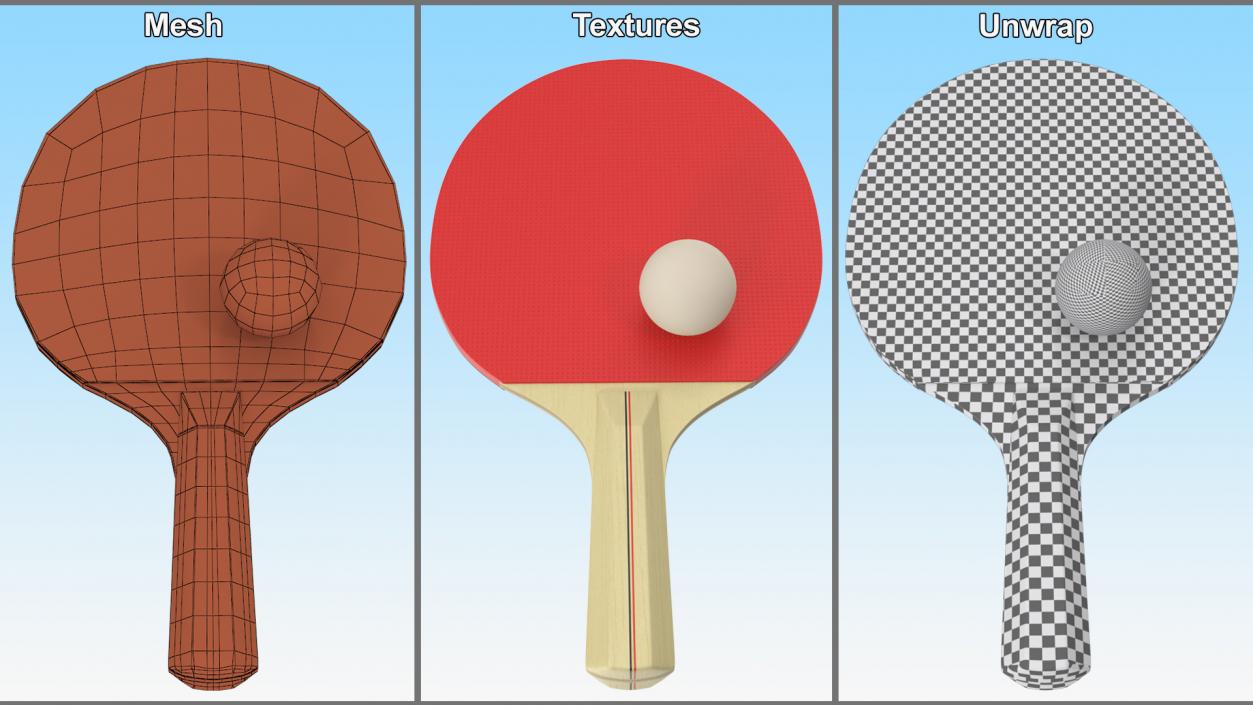 3D model Ping Pong Paddle and Ball