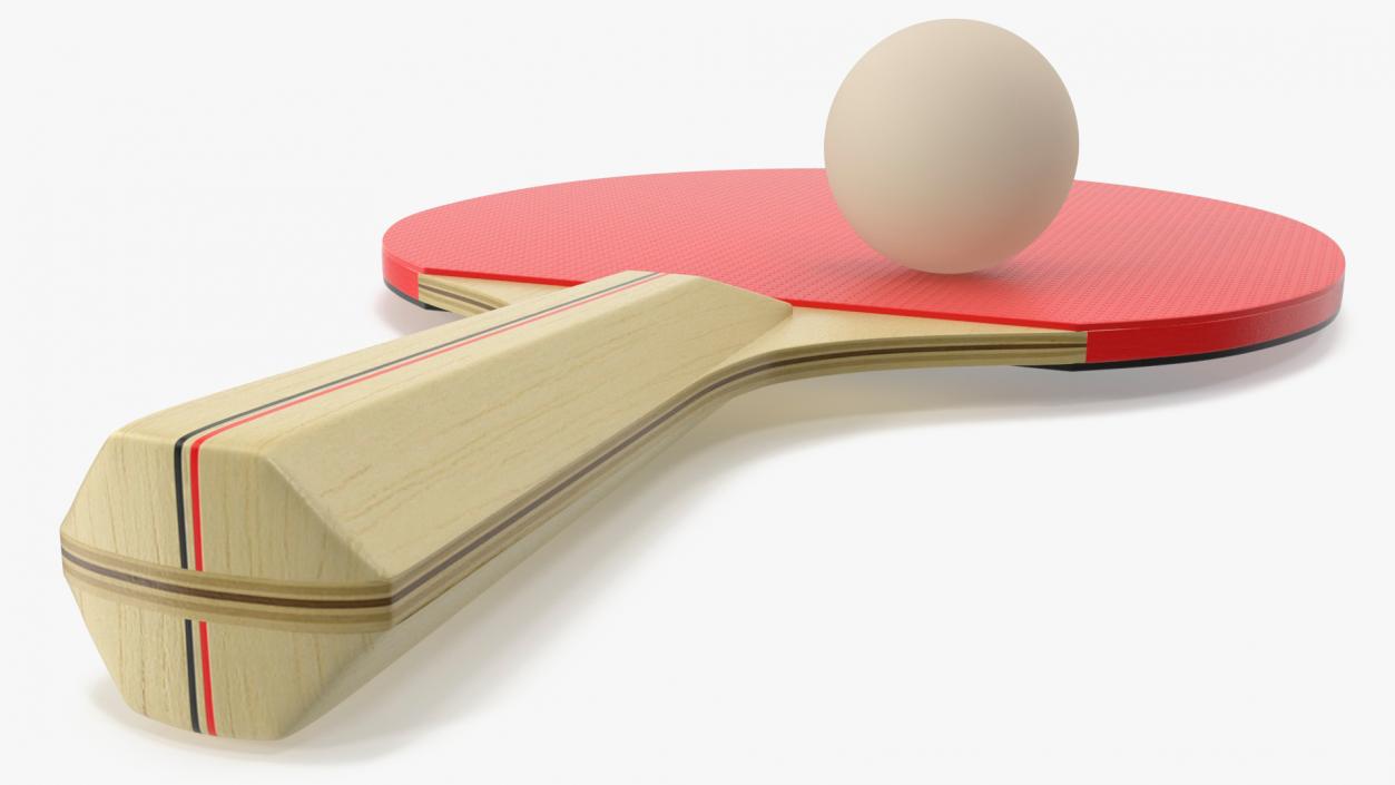 3D model Ping Pong Paddle and Ball