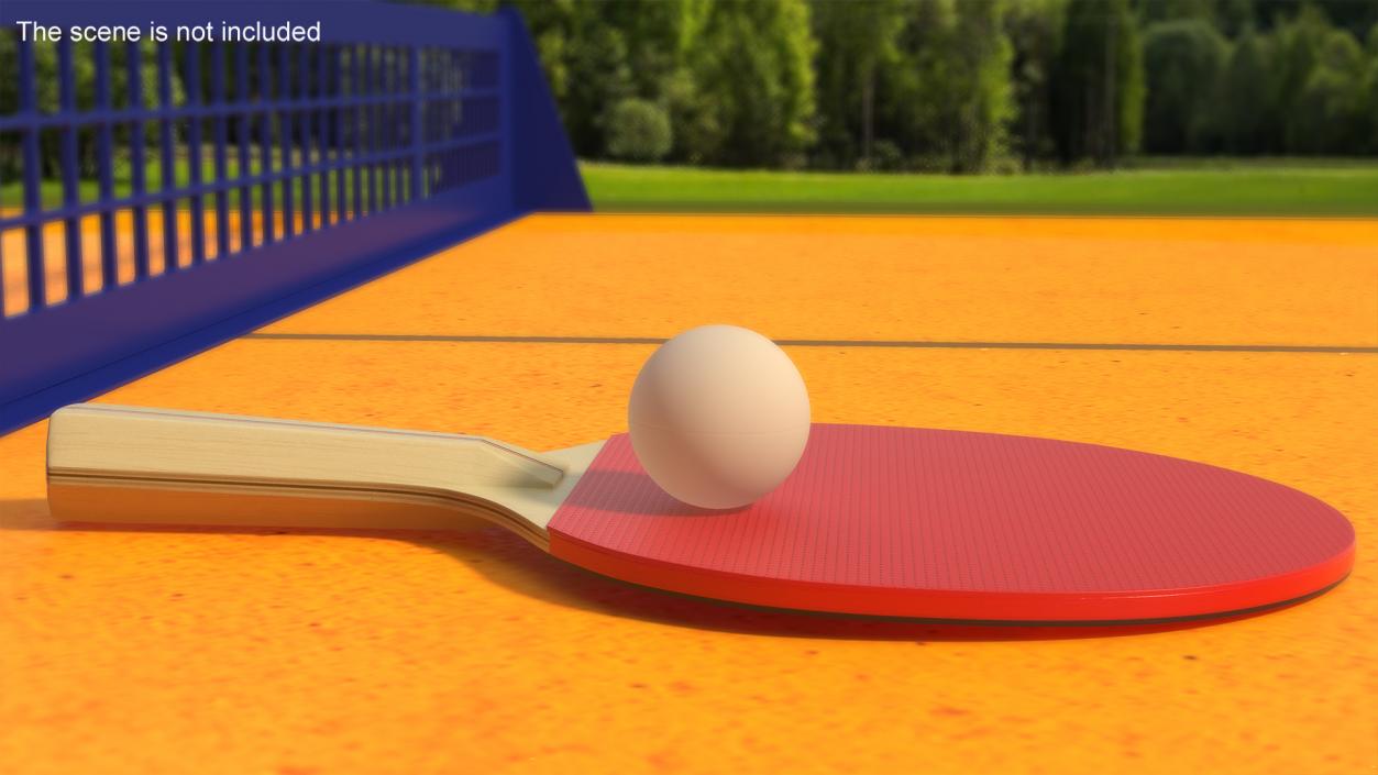 3D model Ping Pong Paddle and Ball