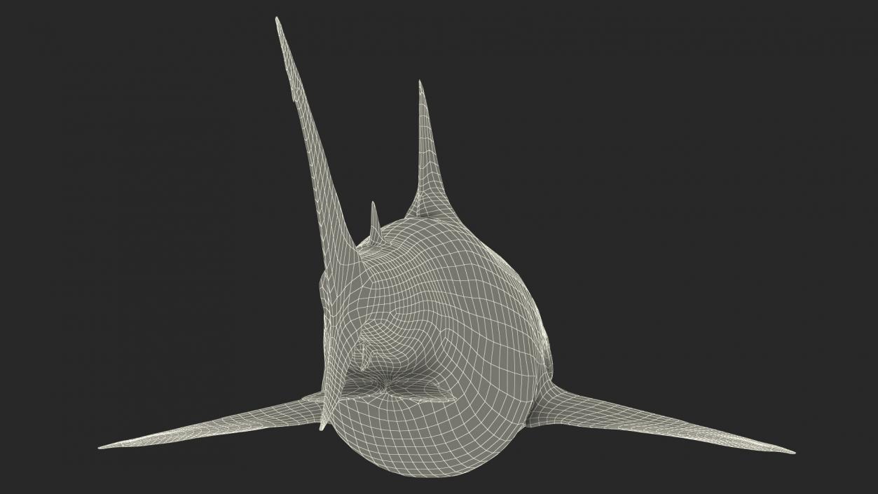 3D model Java Shark