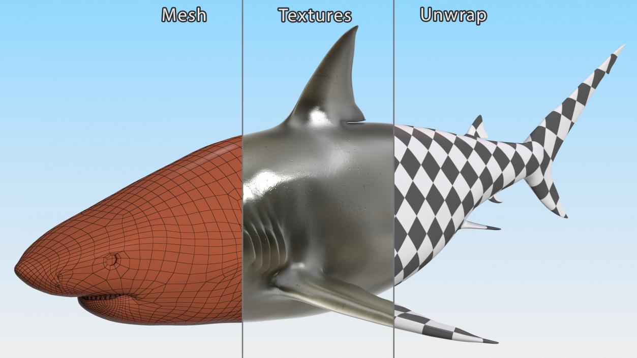 3D model Java Shark