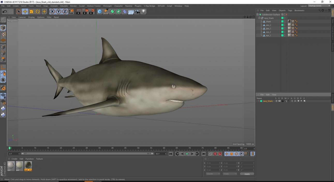 3D model Java Shark