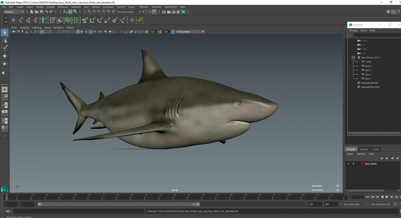 3D model Java Shark