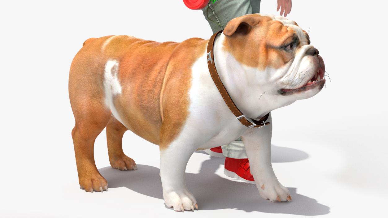 3D model Girl Walks with a Bulldog