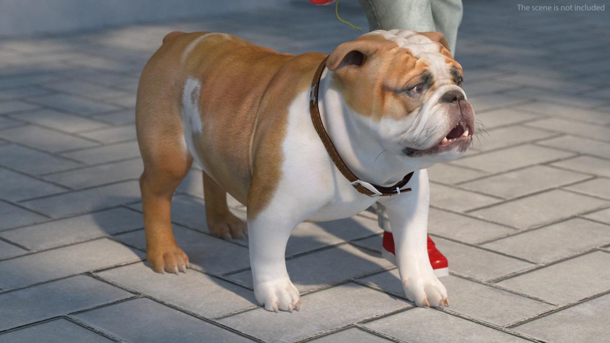 3D model Girl Walks with a Bulldog