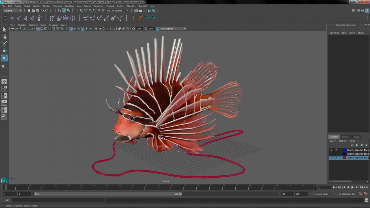 3D Clearfin Lionfish Rigged for Maya model