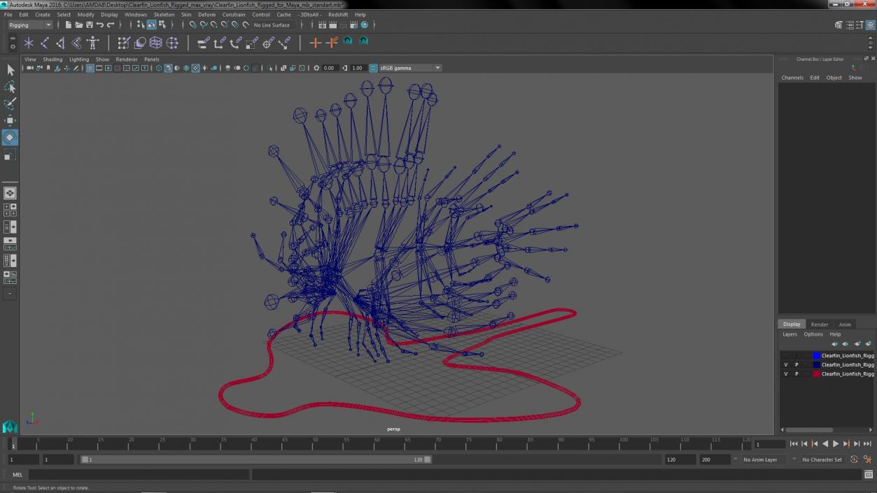 3D Clearfin Lionfish Rigged for Maya model