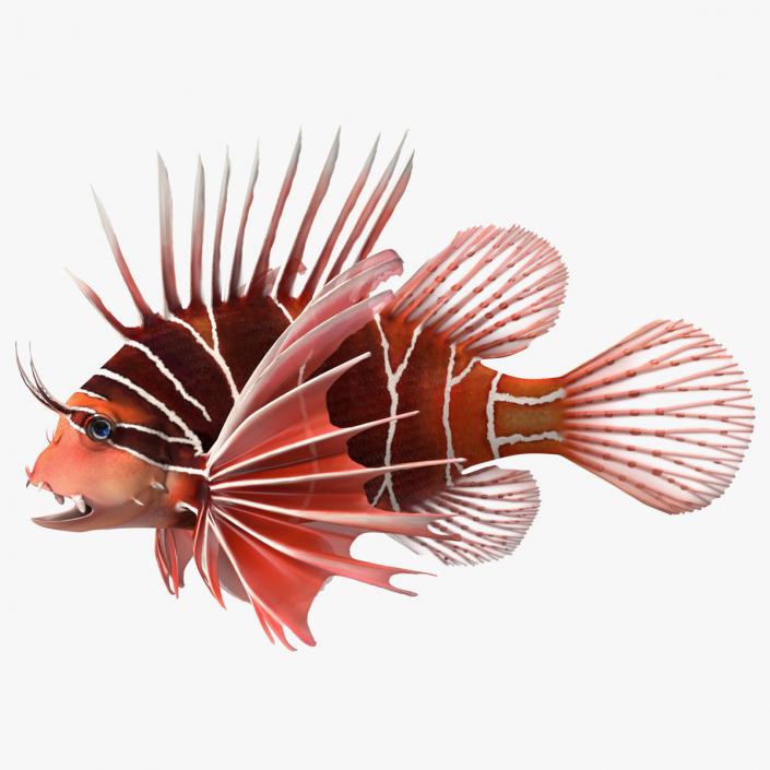 3D Clearfin Lionfish Rigged for Maya model