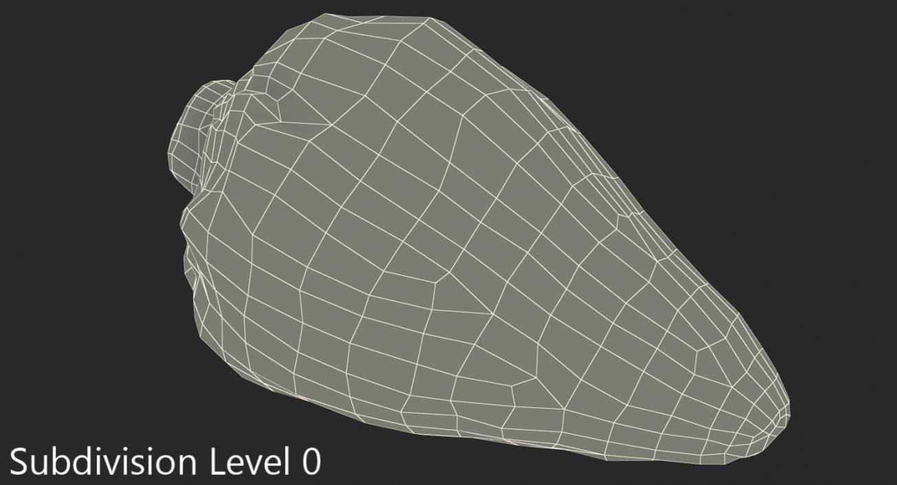 3D Sweetheart Cabbage model