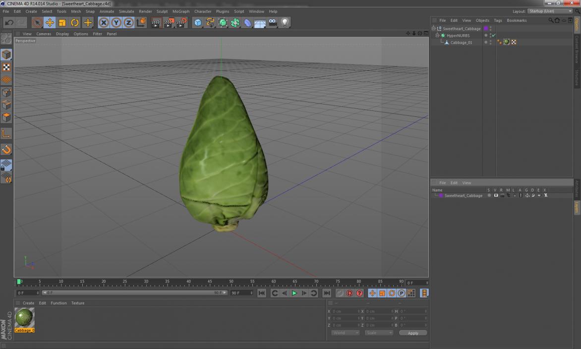 3D Sweetheart Cabbage model