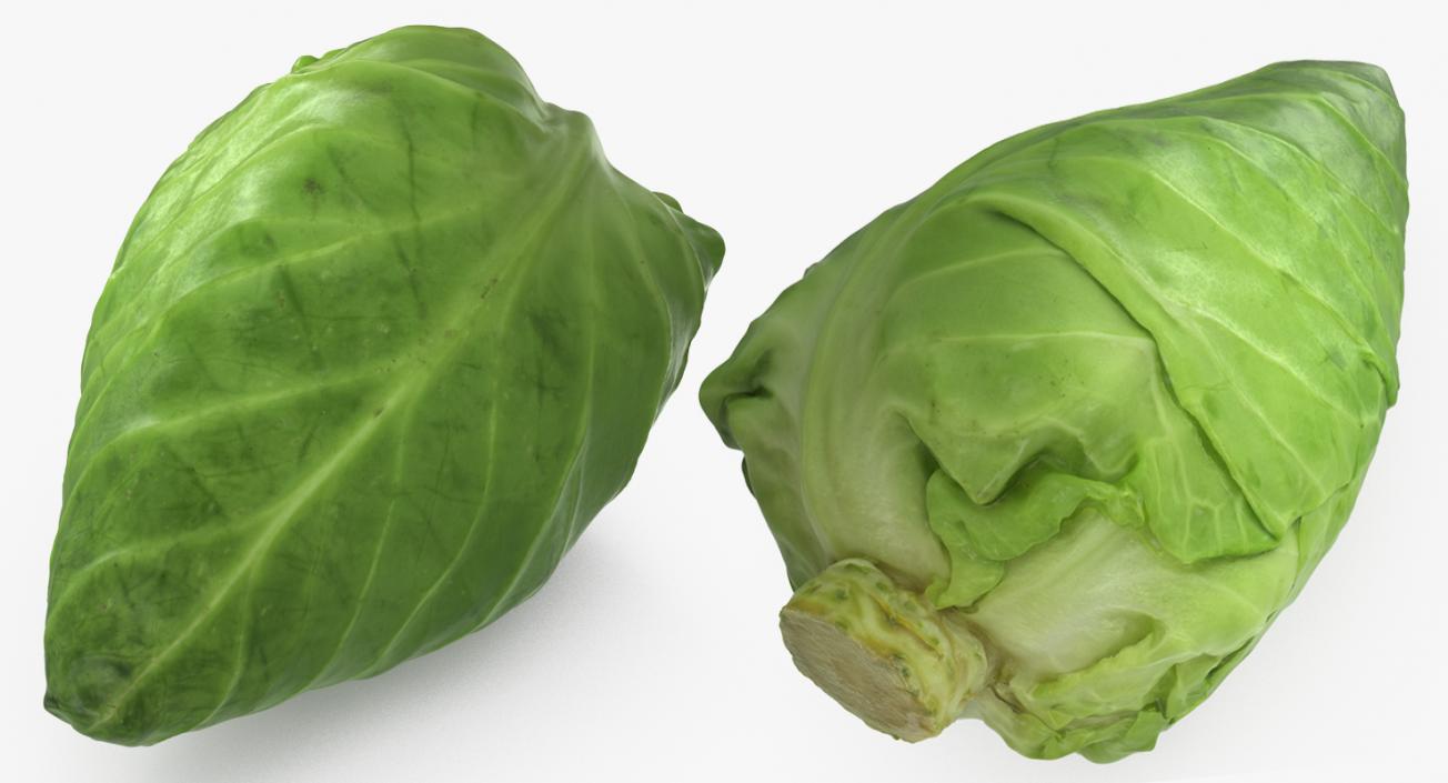 3D Sweetheart Cabbage model