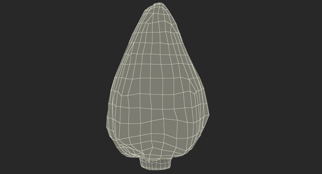 3D Sweetheart Cabbage model