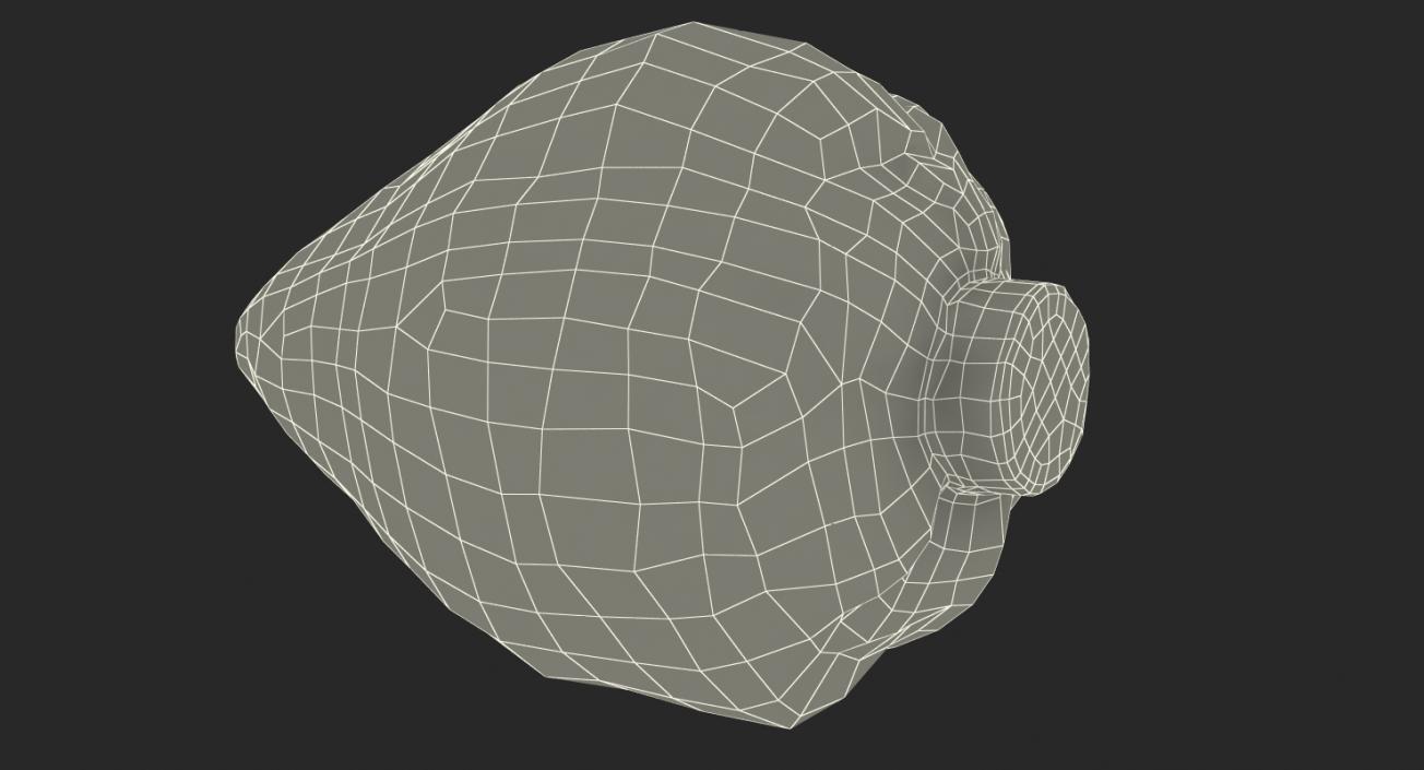 3D Sweetheart Cabbage model