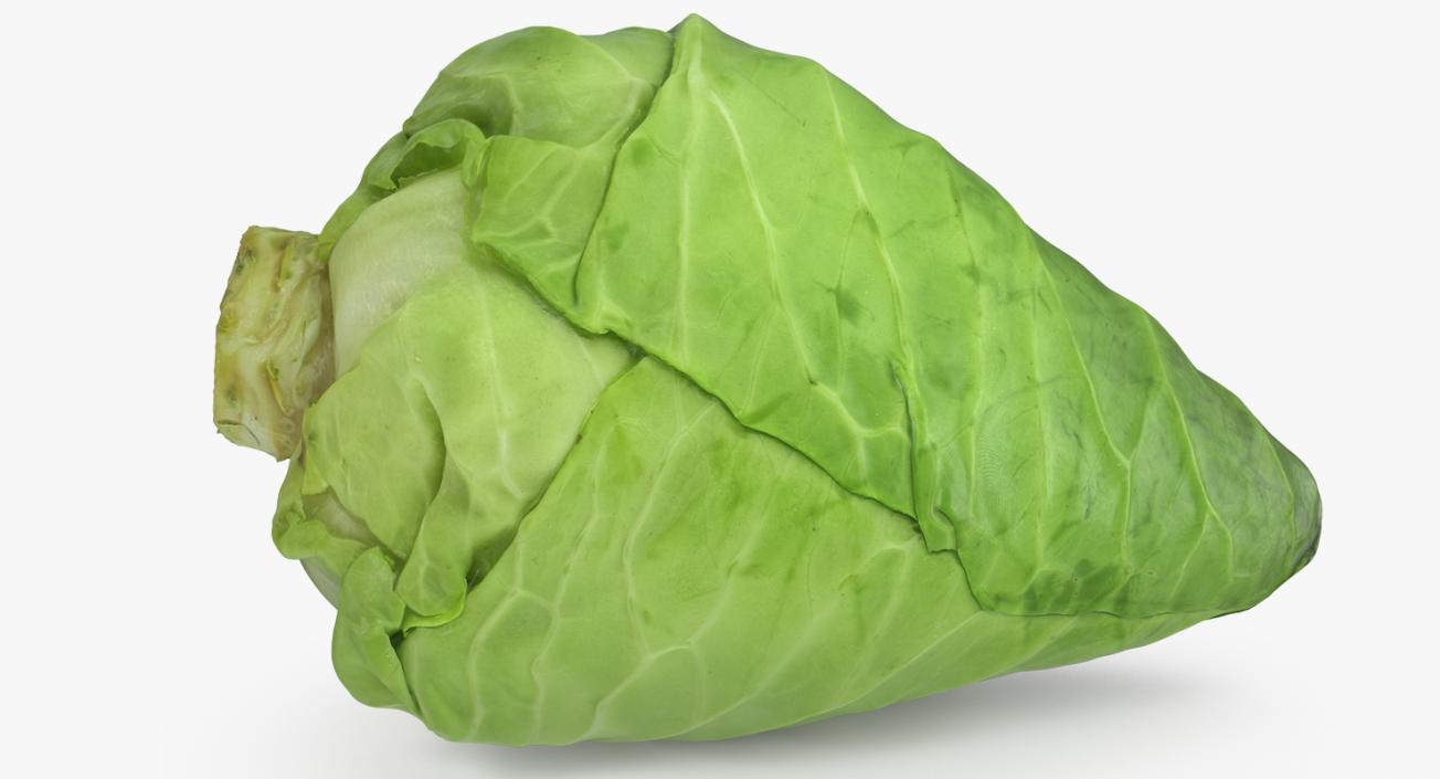 3D Sweetheart Cabbage model