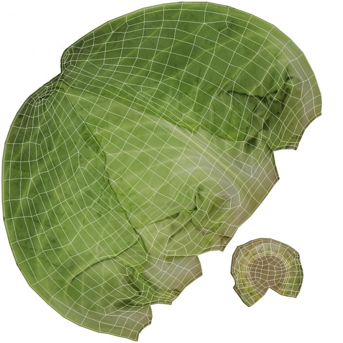 3D Sweetheart Cabbage model