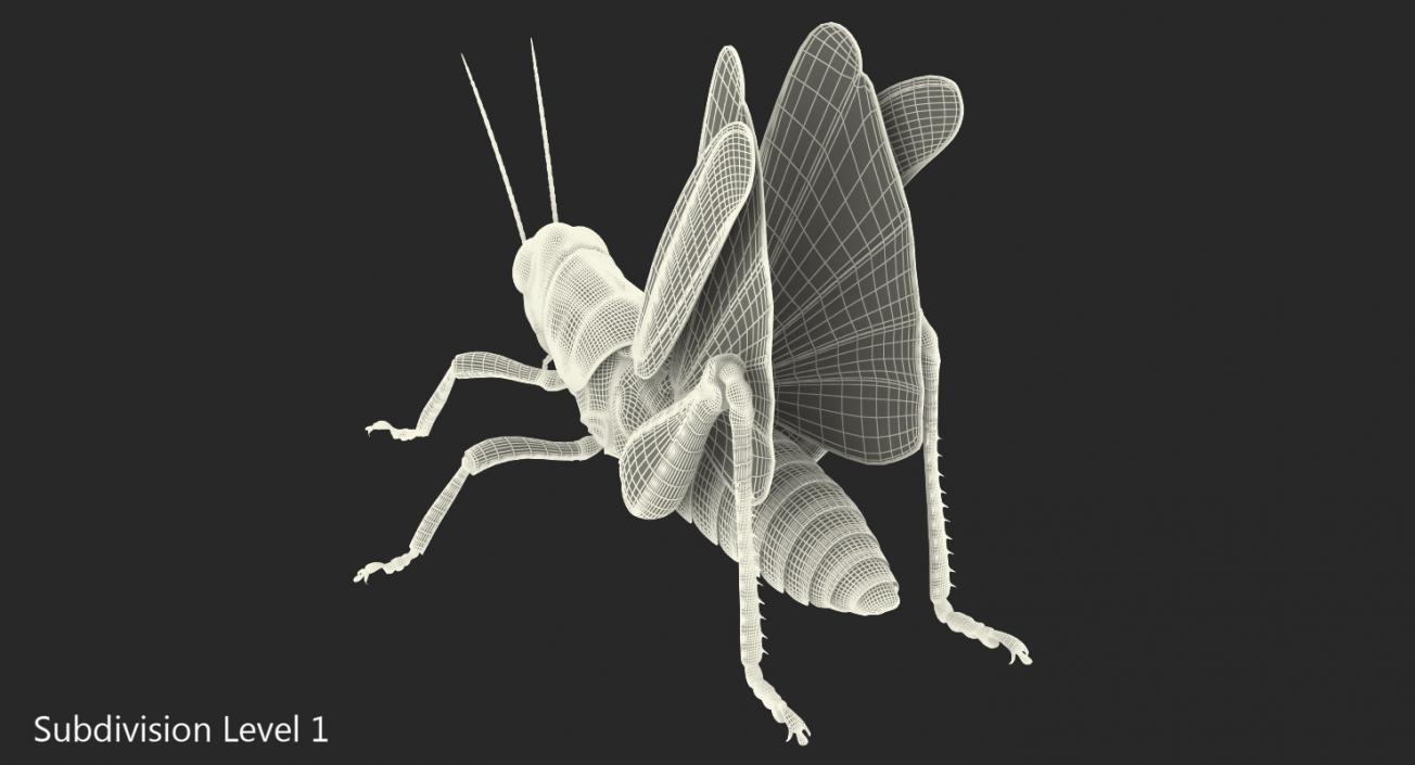 3D Grasshopper Rigged model