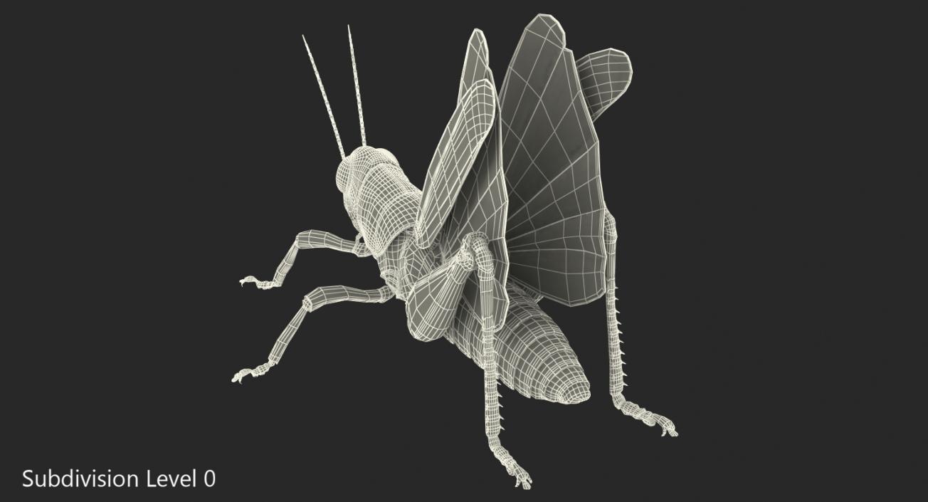 3D Grasshopper Rigged model