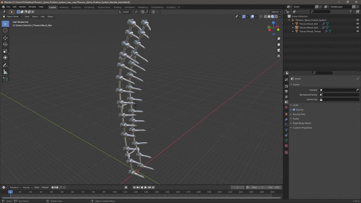 Thoracic Spine Fixation System 2 3D