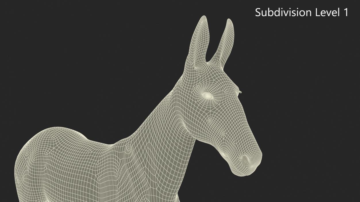 3D Mule Dark Rigged