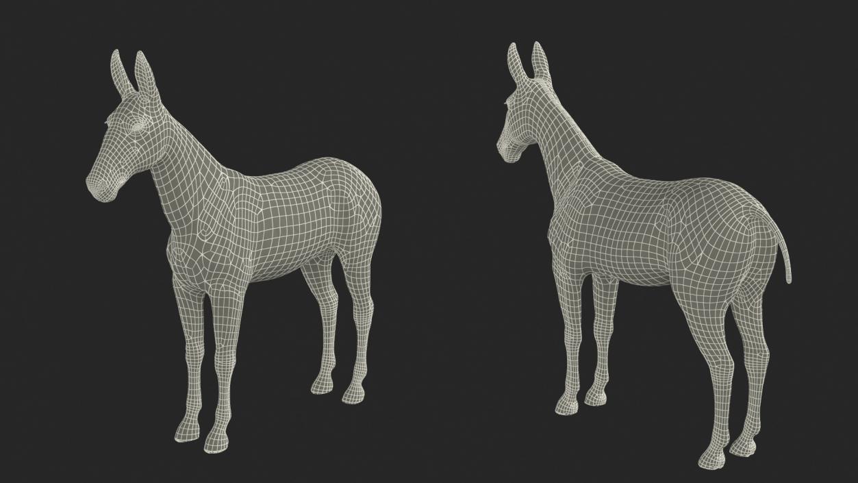 3D Mule Dark Rigged